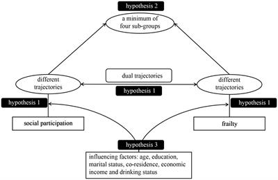 Dual trajectories of social participation and frailty in Chinese older adults: a longitudinal study based on CLHLS from 2008 to 2018